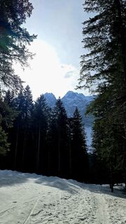 Foto von 〽️anni entlang der Tour