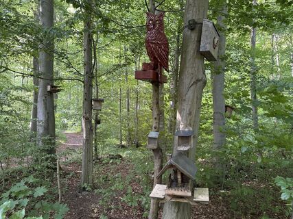 Foto de Klaus Kubelka a lo largo del recorrido