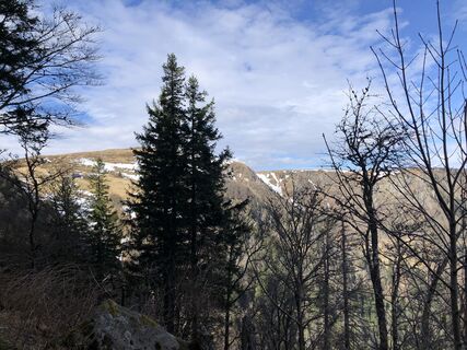 Photo de Jack ROMAN le long du parcours