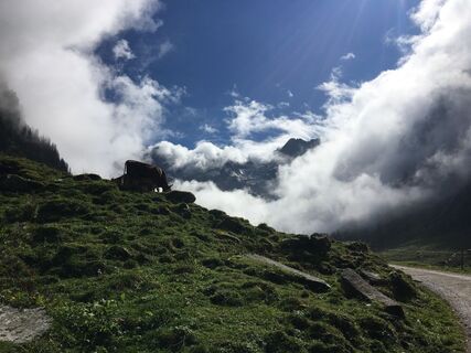 Foto från Ralf Umminger under resans gång