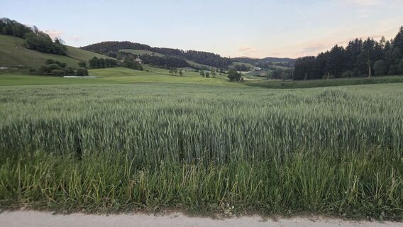 Foto von Andi23 entlang der Tour