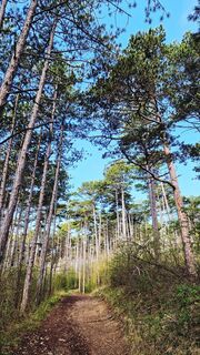 Fotografie z Elisabeth Rossa na trase