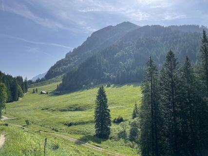 Blick auf Fuchsalm