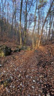 Fotografie z EP87 na trase