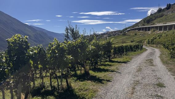 Fotografie z peter_oe na trase