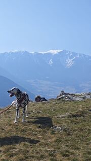 Photo de May Englisch le long du parcours
