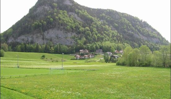 Ellmaustein