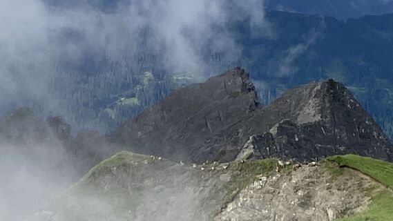 Foto de Niko Zantl a lo largo del recorrido