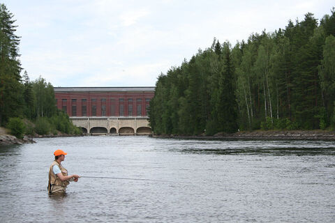 Mellonlahti
