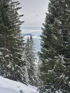 Foto von Sandra Stemplinger entlang der Tour