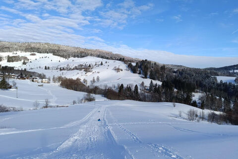 Todtmoos Rodelwanderung mit Hochkopfblick 7