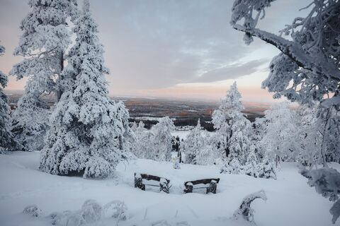 Ruka Scenic Trail im Winter, Ruka-Kuusamo, Lappland, Finnland