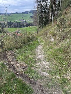 Fotografija s spletne strani Cyrill Bischof na poti