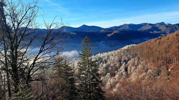 Photo de Regina Fleischmann le long du parcours
