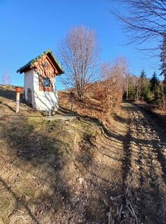 Fotografija s spletne strani Daniel Kremiec na poti