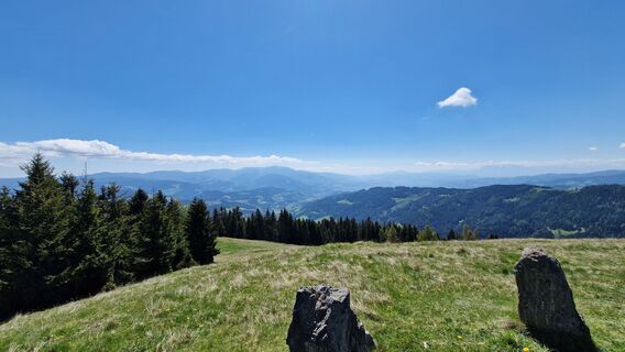 Photo de EP87 le long du parcours