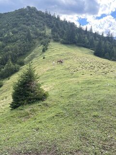 Foto von Philipp Türtscher entlang der Tour