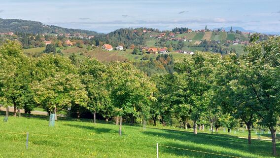 Foto de Uschi Griehser a lo largo del recorrido