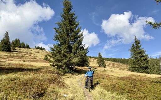 Foto von firebird 93 entlang der Tour