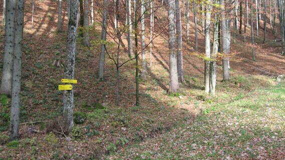 Aufstieg durch das Schöntal