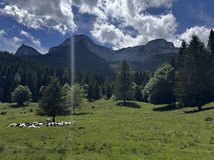 Foto de Friederike Steyrer a lo largo del recorrido