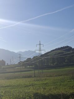 Foto de Mangolein a lo largo del recorrido
