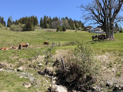 Fotografija s spletne strani Miro Hintermayr na poti
