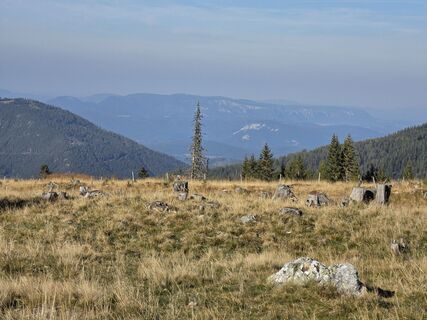 Foto von TwilightTea entlang der Tour