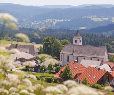 Blick vom Roßberghang