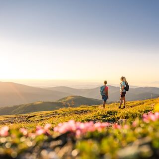 Wandern_Nockberge-Trail_Falkert_Nockberge_Sommer