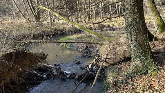 Photo de Matthias G74 le long du parcours