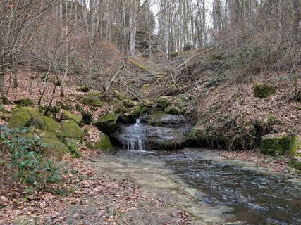 Photo de Evan Buessing le long du parcours