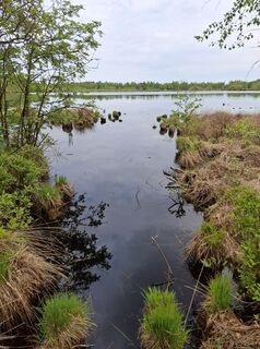 Fotografie z nordbergschnecke na trase