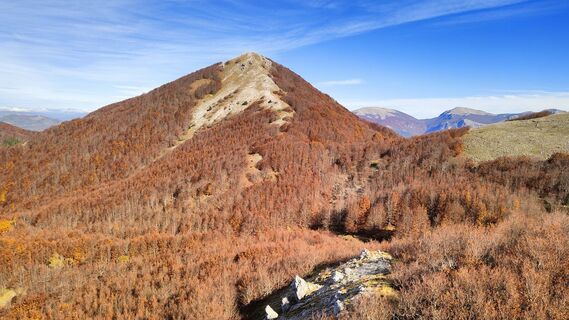 Fotografija s spletne strani Pasquale Buono na poti