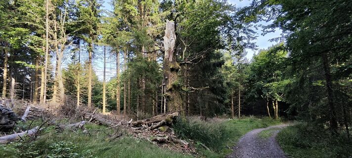 Foto von Jan 2505 entlang der Tour