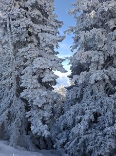 Foto de Günther Forsthuber a lo largo del recorrido