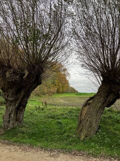 Zdjęcie z jurix wzdłuż trasy