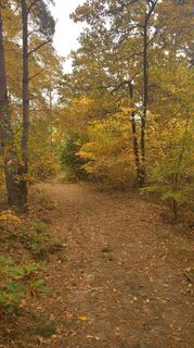 Photo de Noreen Harz le long du parcours