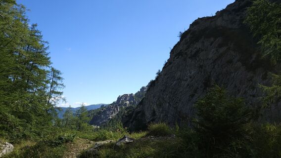 Foto från kriessda under resans gång