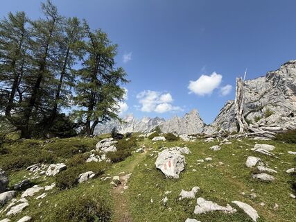 Fotografie z Markus Galla na trase