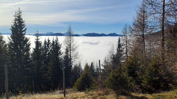 Kuva osoitteesta owspu2stk matkan varrella
