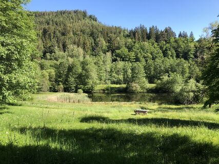 Blick auf den Lautenhofweiher