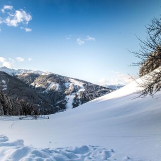 Blick vom Sattelbauer Richtung Skigebiet