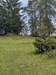 Foto da rgreil lungo il tour