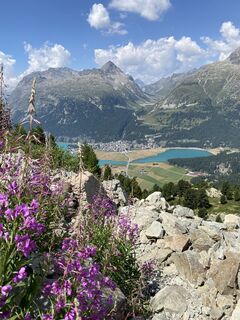 Foto von Annalena Dietrich entlang der Tour
