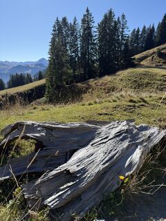Foto von Christopher Rubin entlang der Tour