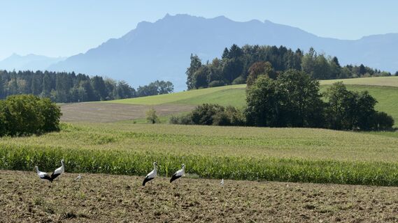 Foto von Peter Burki entlang der Tour