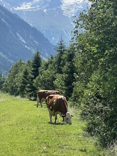 Foto von Ben Möhlmann entlang der Tour