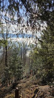 Fotografia z W B MA na trase