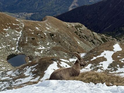 Photo from Ralph Ranner along the tour